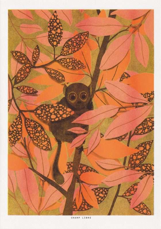 poster orange de jungle avec des plantes et un lémurien