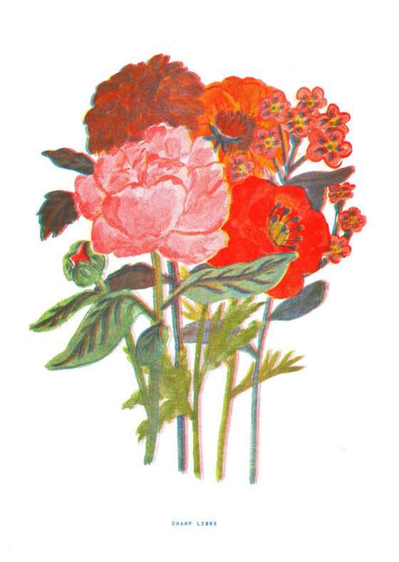 affiche déco, thème floral rouge et rose