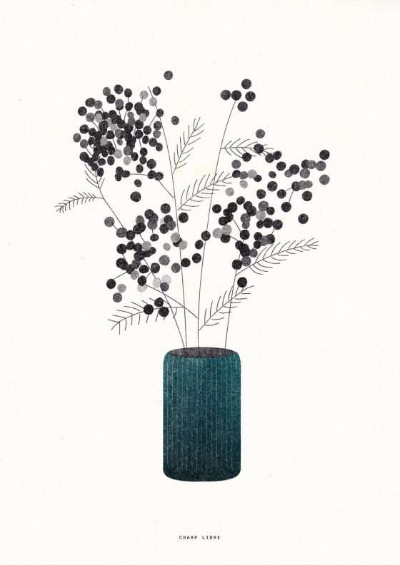 affiche illustrée au format A4 représentant un mimosa