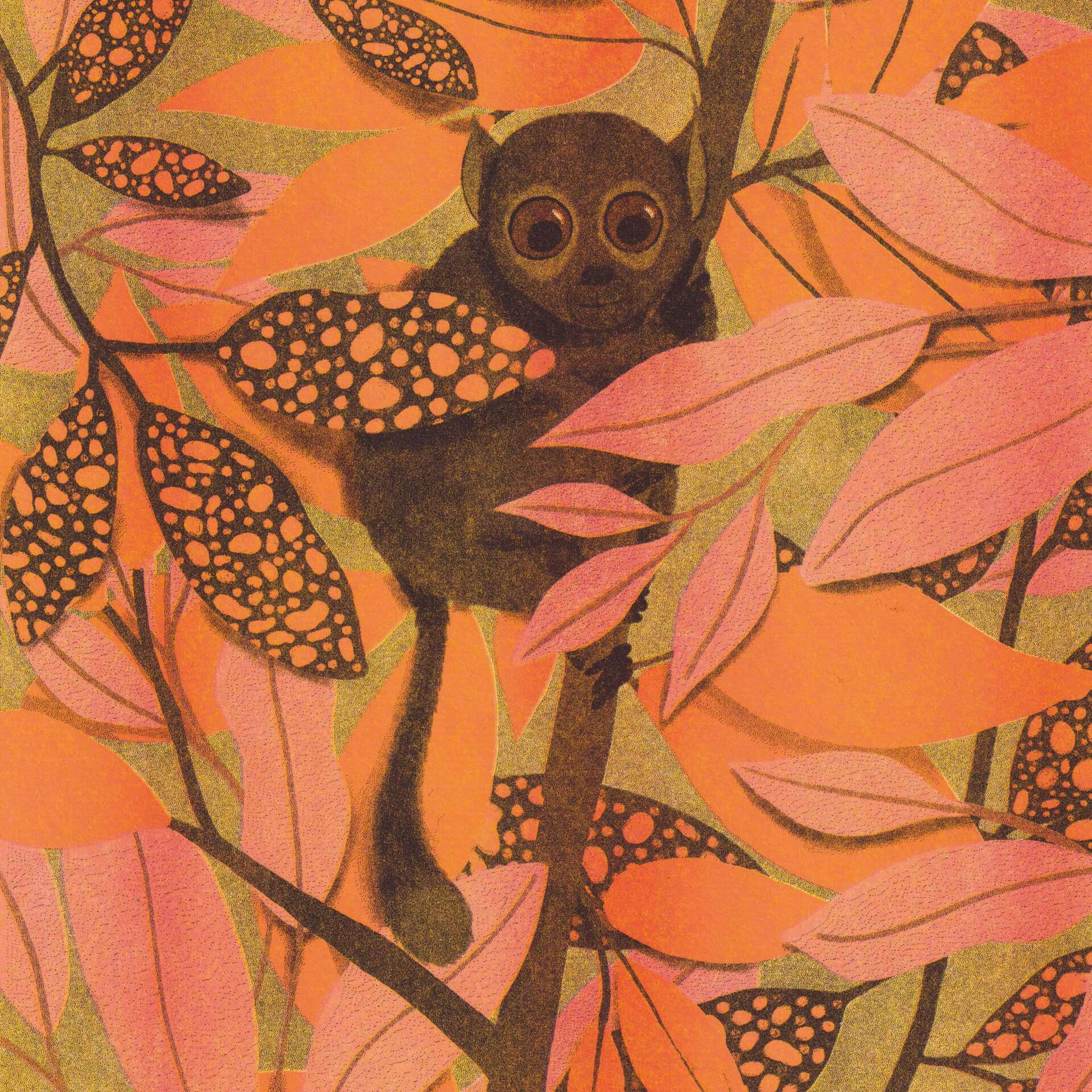 illustration de petit lémurien mignon et rigolo