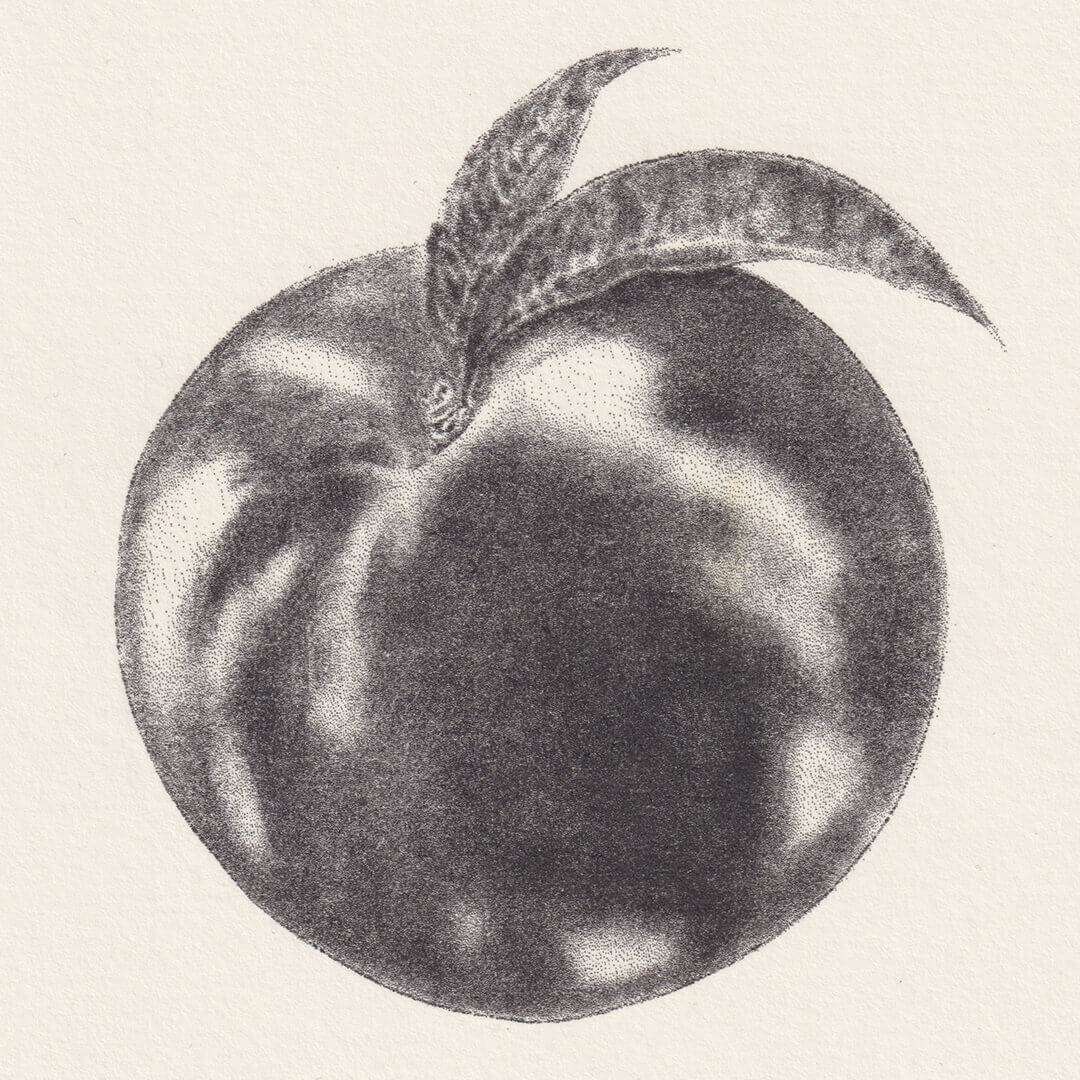 illustration fruit decoration design et retro