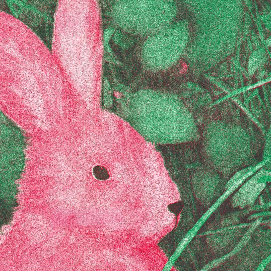 affiche de lapin risographiée originale de petit lapin rose dans les champs