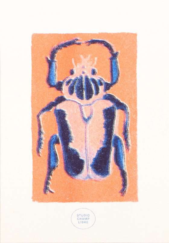 illustration insecte carte en risographie