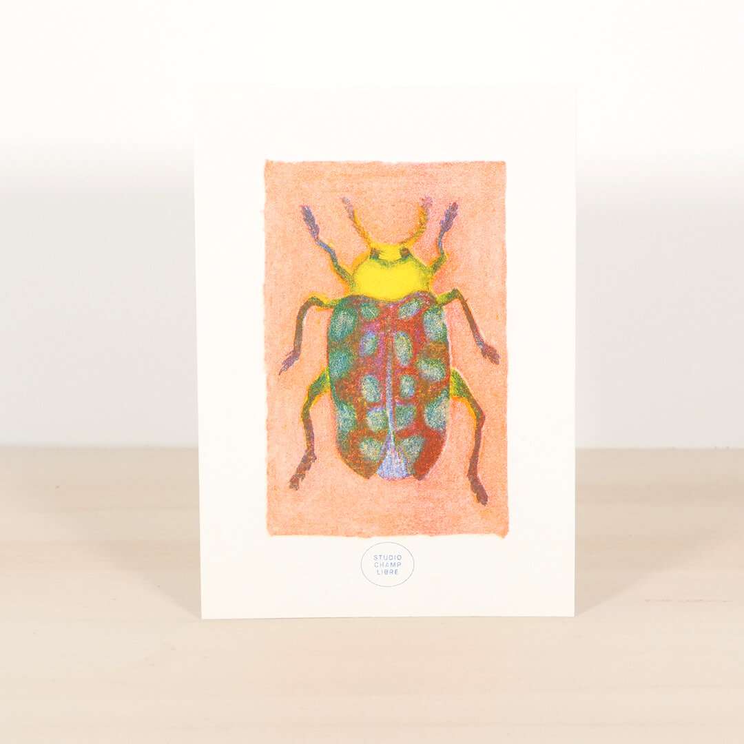 carte illustrée décorative avec un insecte mignon