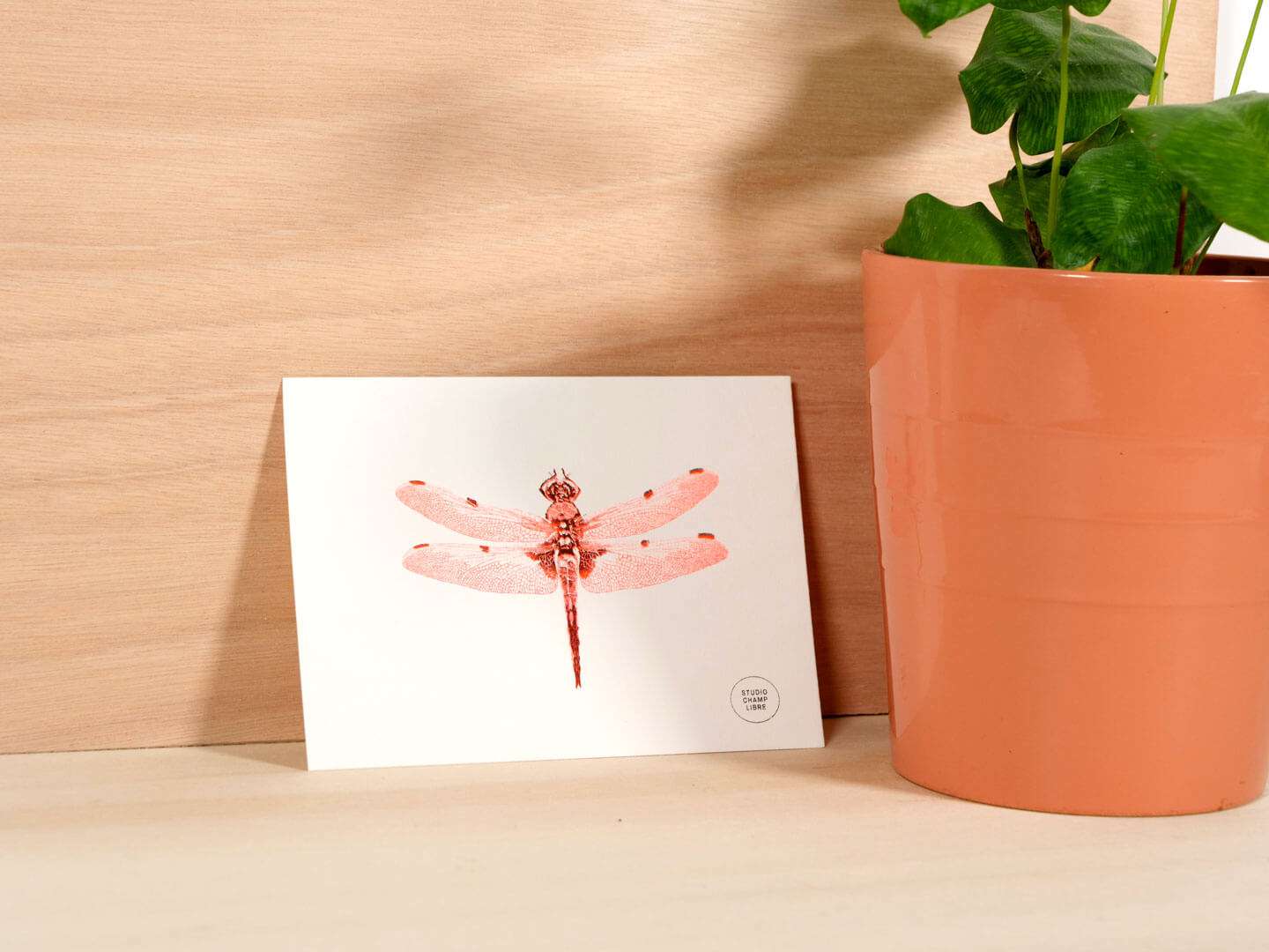 carte illustrée représentant une libellule